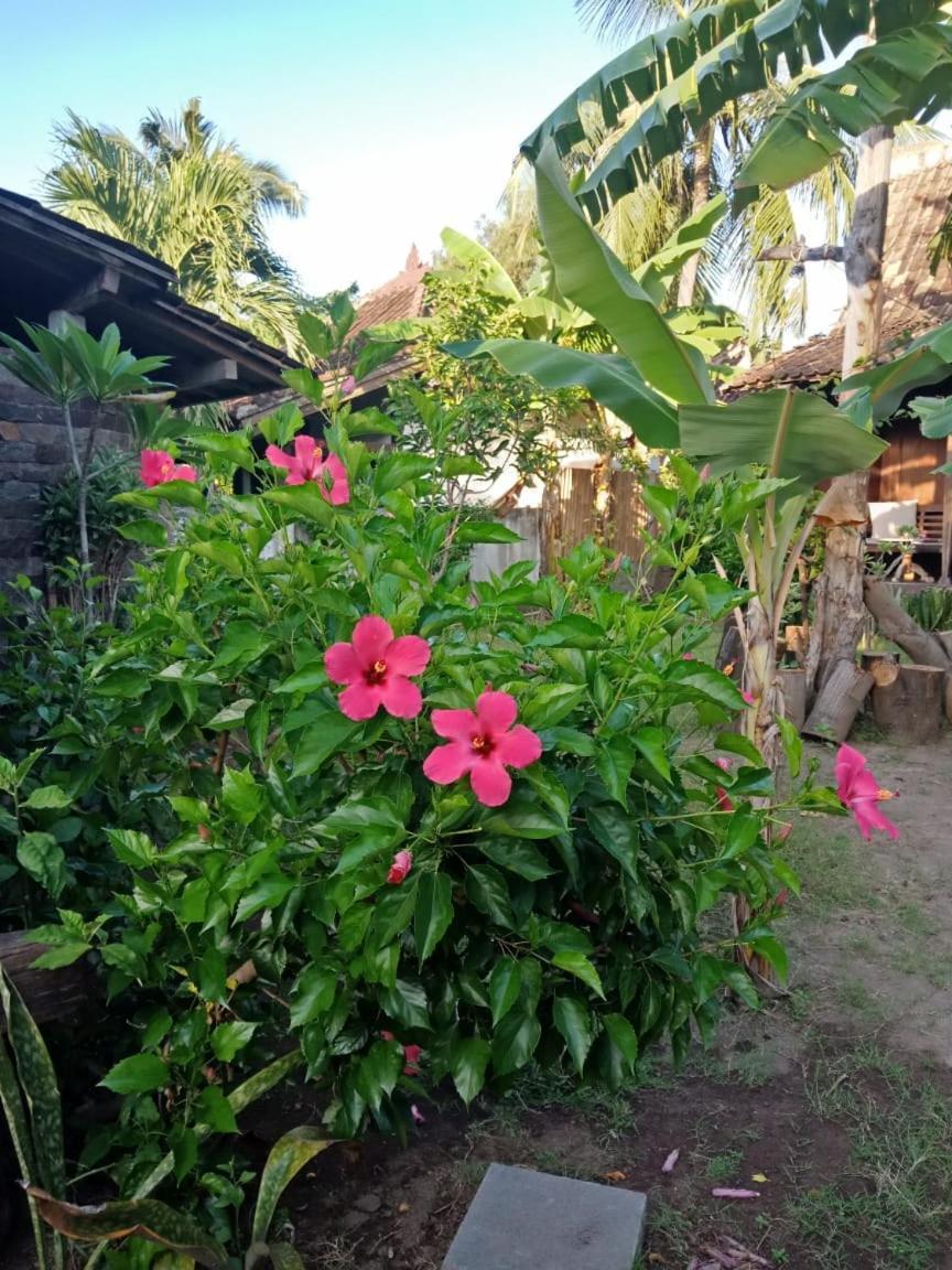 Guest house Blu D'amare Gili Trawangan